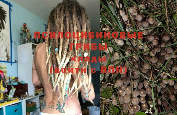 стафф Алзамай